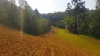 Foto 5 de Lote/Terreno à venda, 48400m² em Colônia Balbino Cunha, Campo Largo