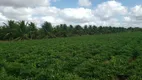 Foto 8 de Fazenda/Sítio com 3 Quartos à venda, 84000m² em Centro, Vera Cruz