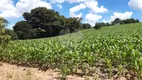 Foto 16 de Fazenda/Sítio com 3 Quartos à venda, 197472m² em Centro, Turvolândia