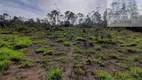 Foto 21 de Fazenda/Sítio com 5 Quartos à venda, 300m² em Jardim Cambiri, Ferraz de Vasconcelos