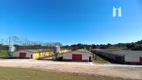 Foto 85 de Fazenda/Sítio com 4 Quartos à venda, 330m² em Colonia Mariana, Campo Largo