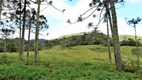 Foto 36 de Fazenda/Sítio com 2 Quartos à venda, 4100000m² em Centro, Bom Retiro