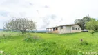 Foto 6 de Fazenda/Sítio com 5 Quartos à venda, 24200m² em Bugre, Balsa Nova