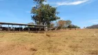 Foto 3 de Fazenda/Sítio com 1 Quarto à venda, 400m² em , Taquaral de Goiás