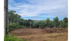 Foto 10 de Lote/Terreno à venda, 2001m² em Sao Valentim, Bento Gonçalves