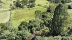 Foto 7 de Fazenda/Sítio à venda, 20000m² em Centro, Bocaina do Sul