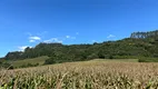 Foto 8 de Fazenda/Sítio à venda, 160000m² em Zona Rural, Campo Alegre