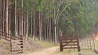 Foto 6 de Fazenda/Sítio à venda, 1390000m² em Taruacu, São João Nepomuceno