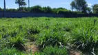 Foto 20 de Fazenda/Sítio com 4 Quartos à venda, 130m² em Zona Rural, São José de Mipibu