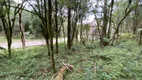 Foto 5 de Lote/Terreno à venda, 745m² em Pinheiro Grosso, Canela