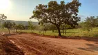 Foto 5 de Lote/Terreno à venda, 20000m² em Centro, São Gonçalo do Pará