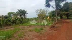 Foto 15 de Fazenda/Sítio com 2 Quartos à venda, 100m² em Usina Três Bocas, Londrina
