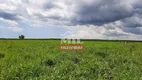 Foto 12 de Fazenda/Sítio à venda em Zona Rural, Araguaína