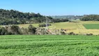 Foto 10 de Fazenda/Sítio à venda, 29200m² em São Salvador, Cascavel