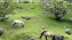 Foto 22 de Fazenda/Sítio com 7 Quartos à venda, 240000m² em Serra de Mato Grosso Sampaio Correia, Saquarema