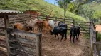 Foto 9 de Fazenda/Sítio com 3 Quartos à venda, 300000m² em Area Rural de Macae, Macaé
