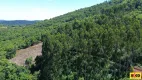 Foto 12 de Fazenda/Sítio à venda, 30000m² em Linha Olinda, Nova Petrópolis