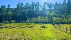 Foto 4 de Lote/Terreno à venda, 1000m² em , Alumínio