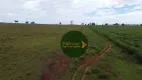 Foto 7 de Fazenda/Sítio à venda, 14907200m² em Zona Rural, Itarumã