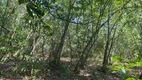 Foto 3 de Fazenda/Sítio à venda, 48000m² em Zona Rural, Pirenópolis