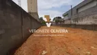 Foto 9 de Lote/Terreno para alugar, 170m² em Vila Esperança, São Paulo