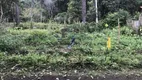 Foto 5 de Fazenda/Sítio com 3 Quartos à venda, 60m² em Centro, Bocaiúva do Sul