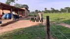 Foto 9 de Fazenda/Sítio à venda, 34848000m² em Zona Rural, Cocalinho