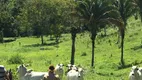 Foto 18 de Fazenda/Sítio com 4 Quartos à venda, 2070000m² em , Água Fria de Goiás