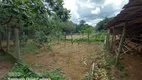 Foto 44 de Fazenda/Sítio com 3 Quartos à venda, 32000m² em Zona Rural, Silvânia