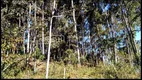 Foto 17 de Fazenda/Sítio com 6 Quartos à venda, 500m² em , São José do Barreiro