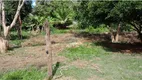 Foto 25 de Fazenda/Sítio com 7 Quartos à venda, 500m² em Chonin de Baixo, Governador Valadares