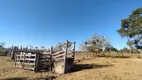 Foto 21 de Fazenda/Sítio com 3 Quartos à venda, 103m² em Zona Rural, Colinas do Sul