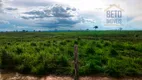 Foto 11 de Fazenda/Sítio à venda, 116950000m² em Zona Rural, Alvorada do Norte