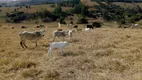 Foto 23 de Fazenda/Sítio com 3 Quartos à venda, 90m² em Zona Rural, Cambuí