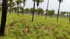 Foto 11 de Fazenda/Sítio à venda em , Penalva