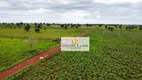 Foto 9 de Fazenda/Sítio à venda, 800m² em Zona Rural, Formoso do Araguaia