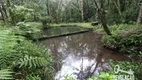 Foto 19 de Fazenda/Sítio com 2 Quartos à venda, 70m² em Campo Largo da Roseira, São José dos Pinhais