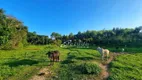 Foto 7 de Fazenda/Sítio à venda, 20000m² em Itapeti, Guararema