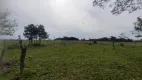 Foto 13 de Fazenda/Sítio com 1 Quarto à venda, 25000m² em , Passo de Torres