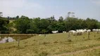 Foto 25 de Fazenda/Sítio com 2 Quartos à venda, 169400m² em Zona Rural, São Miguel Arcanjo