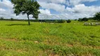 Foto 48 de Fazenda/Sítio com 4 Quartos à venda, 40m² em Centro, Prata