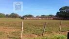 Foto 14 de Fazenda/Sítio à venda, 406000000m² em Zona Rural, Pium