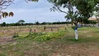 Foto 40 de Fazenda/Sítio com 4 Quartos para venda ou aluguel, 450m² em Chapeu do Sol, São João da Barra