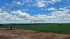 Foto 28 de Fazenda/Sítio à venda, 4910000m² em Centro, Jataí