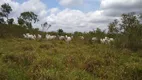 Foto 3 de Fazenda/Sítio à venda em Centro, Rondon do Pará