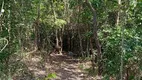 Foto 17 de Fazenda/Sítio com 2 Quartos à venda, 100000m² em Nova Petropolis, Nova Petrópolis