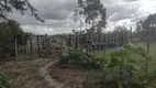 Foto 41 de Fazenda/Sítio à venda em , Quissamã