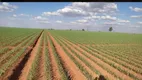 Foto 9 de Fazenda/Sítio com 2 Quartos à venda, 6000000m² em Zona Rural, Santa Juliana