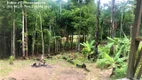 Foto 34 de Fazenda/Sítio com 1 Quarto à venda, 60000m² em Zona Rural, Presidente Figueiredo