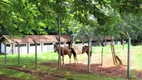 Foto 29 de Casa de Condomínio com 3 Quartos para venda ou aluguel, 248m² em Estancia Cabral, Cambé